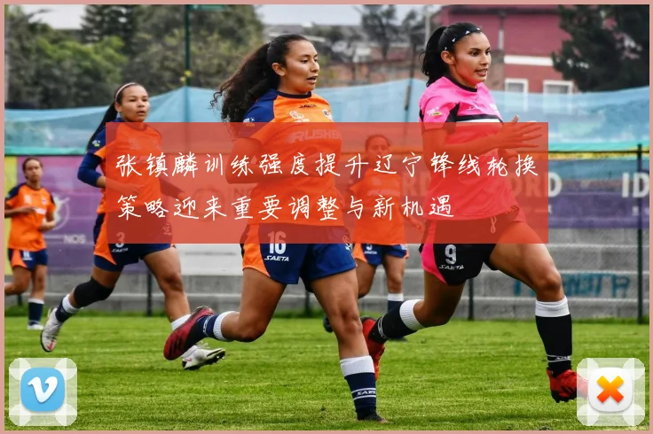 张镇麟训练强度提升辽宁锋线轮换策略迎来重要调整与新机遇